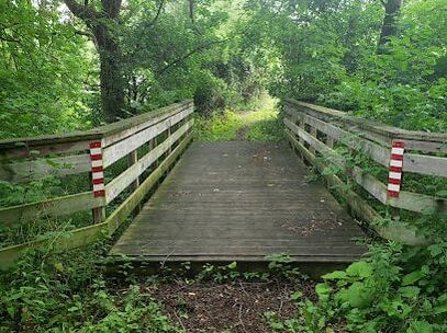 Wooden boardwalk surrounded by greenery in Littles Corners, Cambridge, Ontario