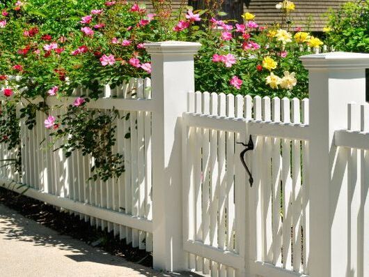 Four feet high white vinyl fence in front yard of a house in Cambridge, Ontario