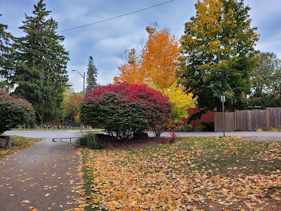 Trees in a park in the autumn in West Galt, Cambridge, Ontario